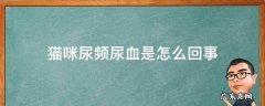 猫咪尿频带血是怎么回事 猫咪尿频尿血是怎么回事