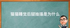 猫猫睡觉后腿抽搐是为什么 猫咪睡觉后腿老是抽搐