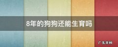 8年的狗狗还能生育吗 8年的狗还能生小崽吗