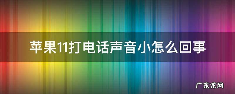 苹果11打电话声音小怎么回事每次都打免提才能听见 苹果11打电话声音小怎么回事
