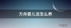 方舟婴儿龙怎么养 方舟进化生存婴儿龙怎么养