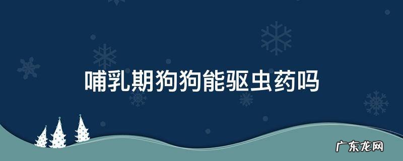 哺乳期的狗狗能吃驱虫药吗 哺乳期狗狗能驱虫药吗