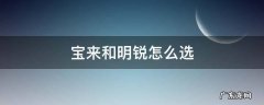 宝来和明锐怎么选 明锐跟宝来怎么选明锐最新款