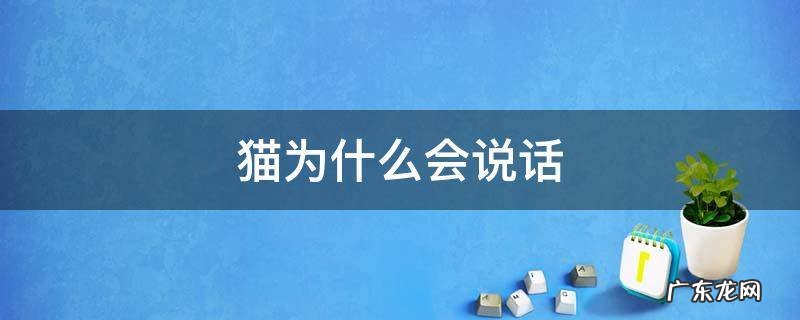 猫为什么会说话 瑞克和莫蒂第四季第四集猫为什么会说话