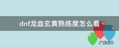 dnf龙血玄黄套装角色熟练度是什么意思 dnf龙血玄黄熟练度怎么看