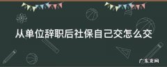 从单位辞职后社保自己交怎么交 从单位辞职后社保自己交怎么交的