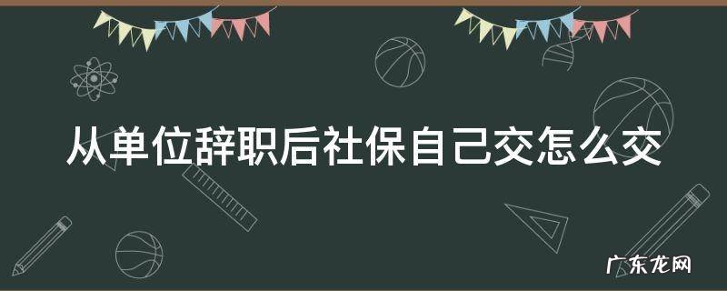 从单位辞职后社保自己交怎么交 从单位辞职后社保自己交怎么交的