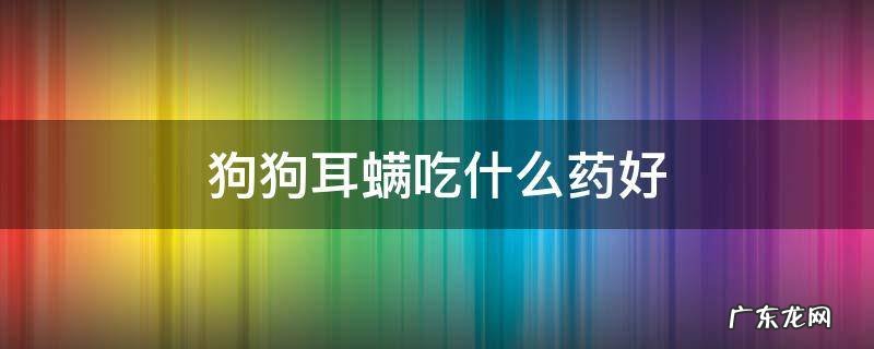 狗狗耳螨买什么药最好 狗狗耳螨吃什么药好