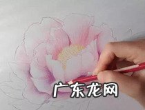 wps怎么画完整的流程图