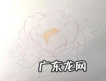 wps怎么画完整的流程图