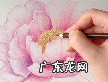 wps怎么画完整的流程图