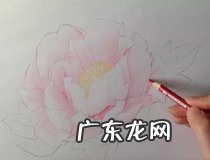 wps怎么画完整的流程图