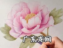 wps怎么画完整的流程图