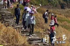2023年国庆节适合结婚的日子