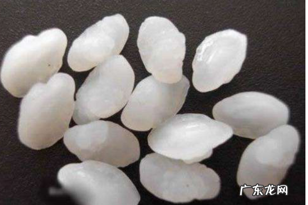 鱼头里有小白石头叫什么,鱼头部有个白色的东西