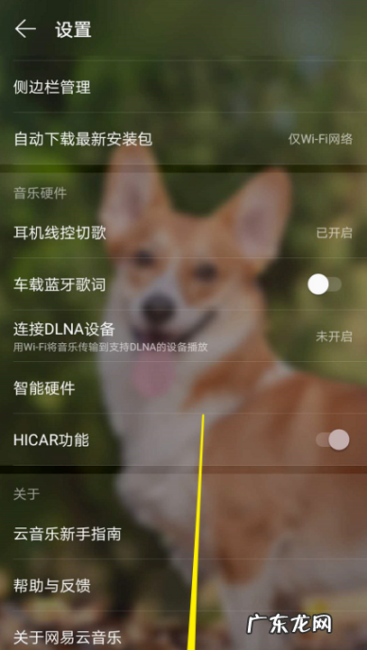 网易云怎么切换登录,网易云可以几个人登录一个账号么