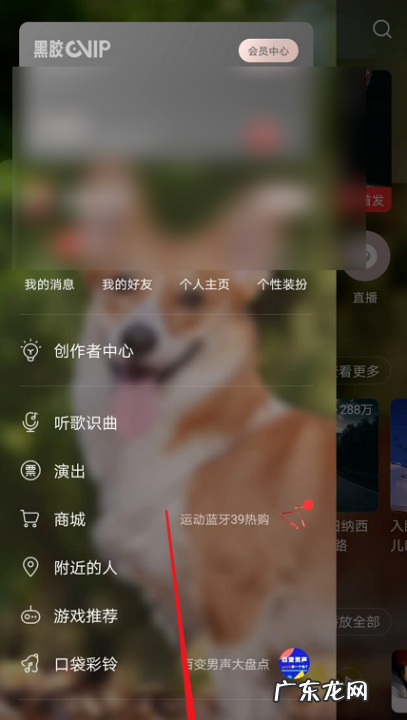 网易云怎么切换登录,网易云可以几个人登录一个账号么
