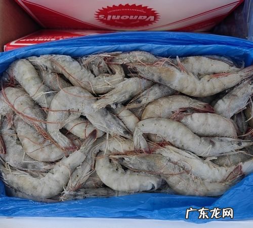 什么是厄瓜多尔冻虾,厄瓜多尔白虾高清