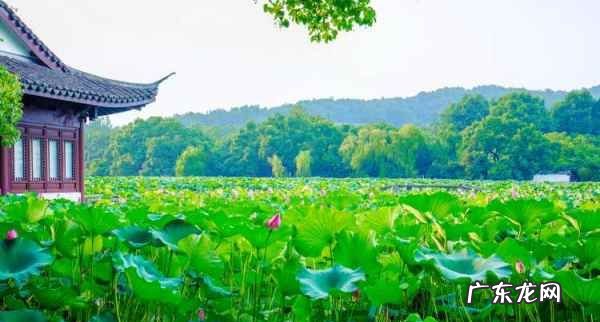 西湖是哪一个省的,天目湖位于什么省市