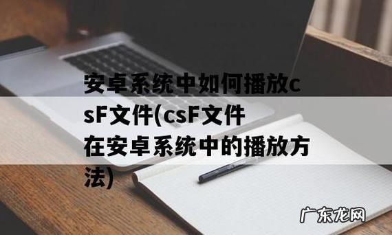 csf文件怎么打开播放,win0系统怎么播放CSF文件