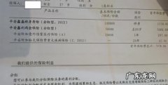 平安鑫盛12会返还本金吗？,平安鑫盛2每年交4550元交满20年后本金能退回来能退多少