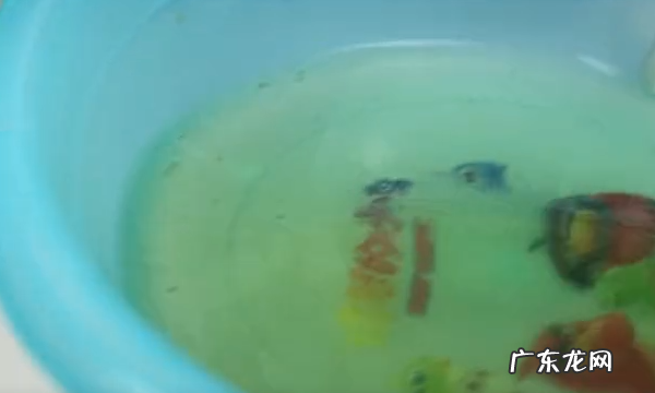 用菠菜汁可以洗衣服,衣服泛黄怎样才能洗得干净一点