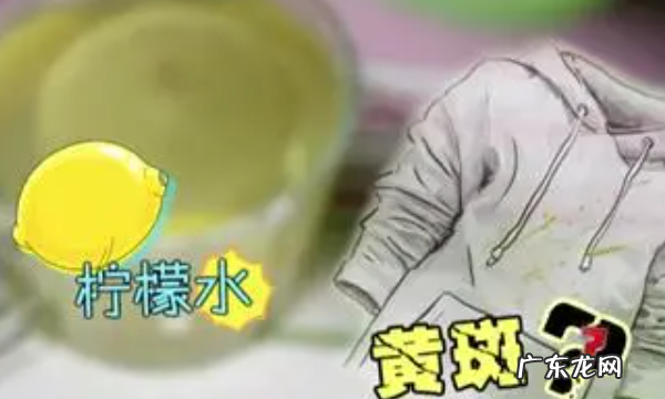 用菠菜汁可以洗衣服,衣服泛黄怎样才能洗得干净一点