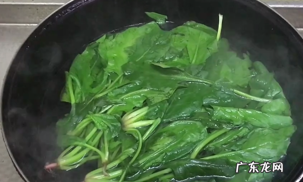 用菠菜汁可以洗衣服,衣服泛黄怎样才能洗得干净一点