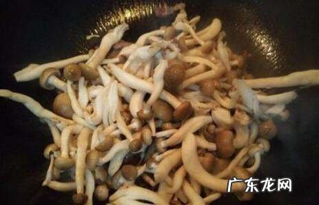圆头小蘑菇怎么炒着好吃,圆菇怎么炒好吃又简单