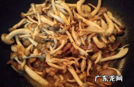 圆头小蘑菇怎么炒着好吃,圆菇怎么炒好吃又简单