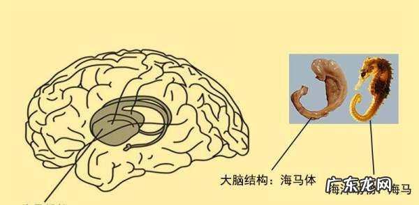 人为什么会产生既视感,到一个陌生的地方后上吐下泻呕吐有胆汁