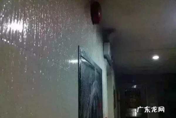 回南天是什么天气系统,回南天是什么天气现象