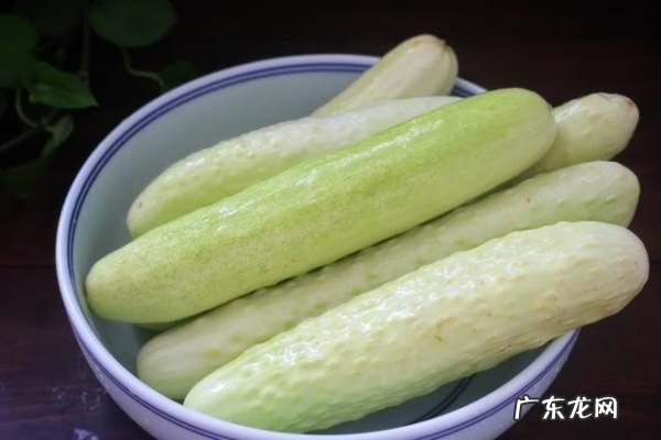 黄瓜怎么冻到冰箱保存,黄瓜怎么保存才能保鲜