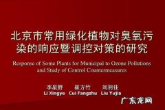 什么植物吸收臭氧,哪些植物可以净化空气列举4-5种植物