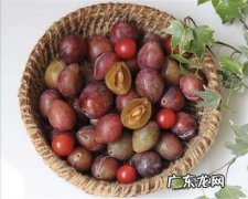 西梅干怎么制作,西梅干的做法