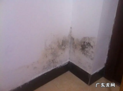 房间去除霉味最快的方法,屋子里有发霉的味怎么去除