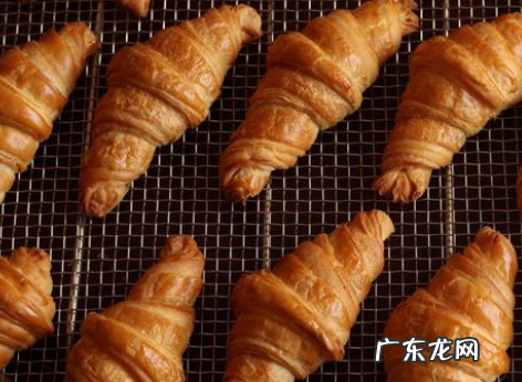 可颂是什么,颂的意思是什么意思