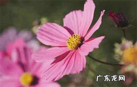 鞋舌和鞋面摩擦总响怎么办,空军一号高帮纯白可以在地面摩擦出声音
