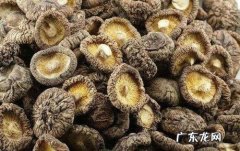 干香菇长虫要怎么处理,香菇干放久了会长那种小小的小虫不是蠕虫的这时的香菇能不能...