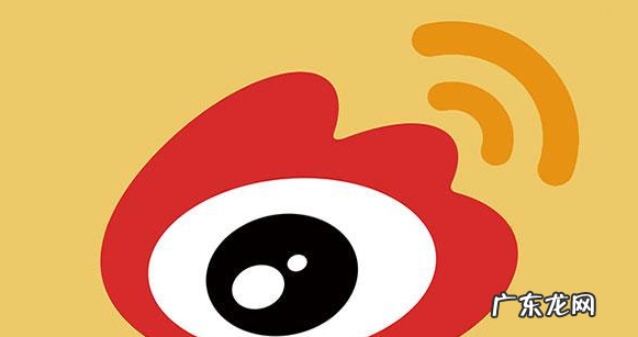 微博看得到访客记录,微博可以看到访客记录么