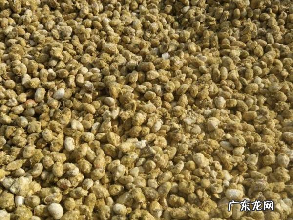 传统农村黄豆酱怎样晒,农村霉黄豆酱做法怎样制作霉黄豆