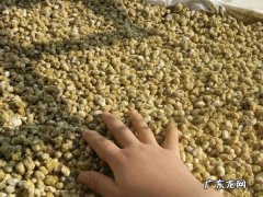 传统农村黄豆酱怎样晒,农村霉黄豆酱做法怎样制作霉黄豆