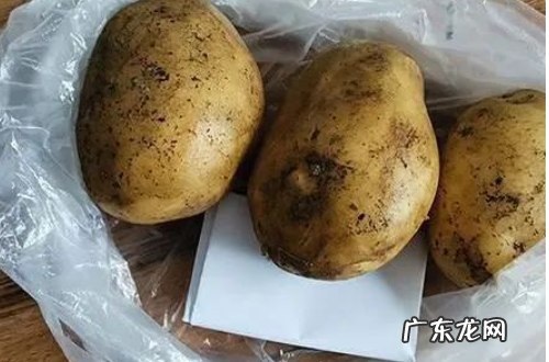 怎么保存土豆不发芽不变绿,土豆怎么样保存才能不发芽不变绿