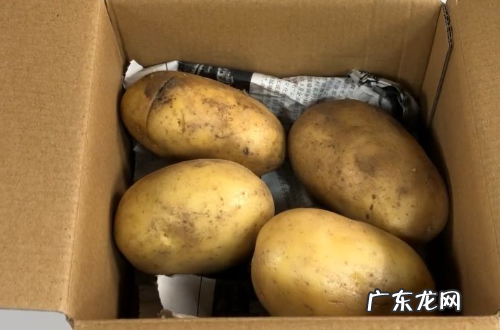 怎么保存土豆不发芽不变绿,土豆怎么样保存才能不发芽不变绿