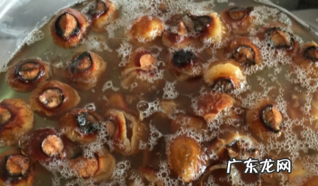怎么样把无患子液熬浓稠,无患子洗发液的制作配方