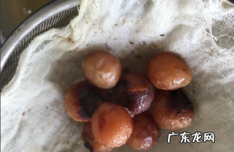 怎么样把无患子液熬浓稠,无患子洗发液的制作配方