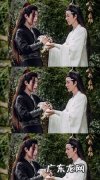 蓝忘机魏无羡陈情令大结局,电视剧陈情令结局什么意思