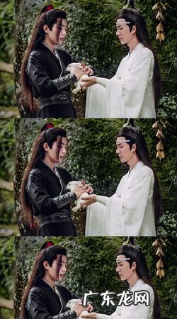 蓝忘机魏无羡陈情令大结局,电视剧陈情令结局什么意思