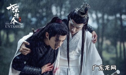 蓝忘机魏无羡陈情令大结局,电视剧陈情令结局什么意思