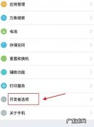 开发者选项能一直开,开发者选项能一直开